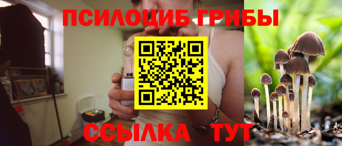 Ульяновск  Псилоцибиновые грибы Magic Shrooms  Галлюциногенные грибы GOLDEN TEACHER  Вход с VPN 